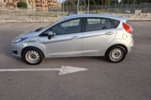 Ford Fiesta 1.4 GPL 97CV (2013)