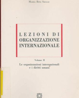 Saulle Lezioni di organizzazione internazionale 2°