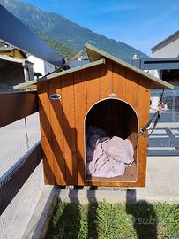 cuccia per cani 