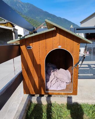 cuccia per cani 
