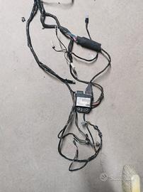 impianto elettrico vespa et4 125