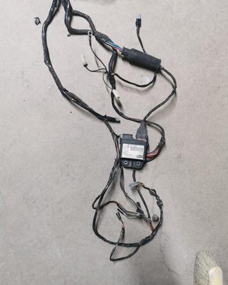 impianto elettrico vespa et4 125