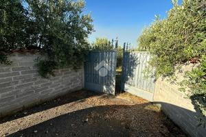 TER. AGRICOLO A MONTE COMPATRI