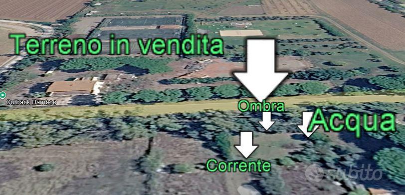 OASI PRIVATA A 5 MINUTI DAL MARE-terreno Tarquinia - Vista 3