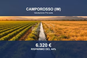 Immobile in asta di 16388 m² a Camporosso