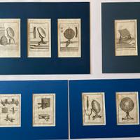 Antiche incisioni del XVIII secolo Storia Naturale