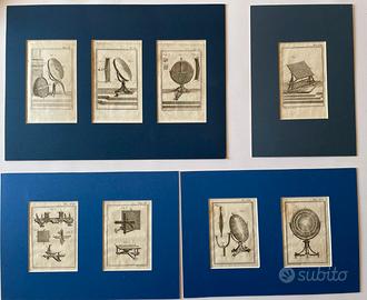 Antiche incisioni del XVIII secolo Storia Naturale