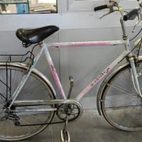 bicicletta da uomo