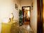 Immagine 13