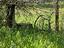 Immagine 10