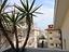 Immagine 13