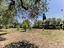Immagine 22