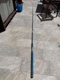 canna da pesca per surf casting