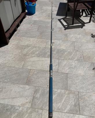 canna da pesca per surf casting