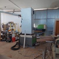 Pantografo anubatrice per il legno