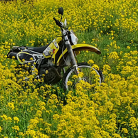 Suzuki DRZ 400S - 2000