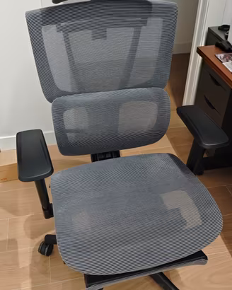 sedia ufficio flexispot 