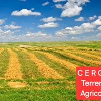 C E R C O piccolo appezzamento di Terreno Agricolo