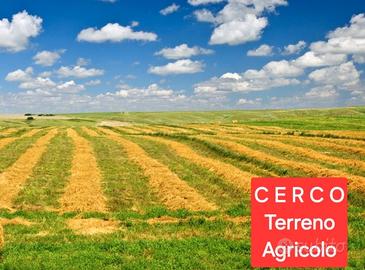 C E R C O piccolo appezzamento di Terreno Agricolo
