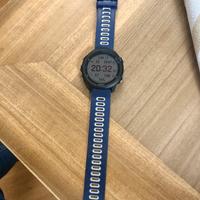 Garmin Forerunner 245