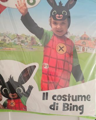 vestito carnevale Bing 4/5 anni 
