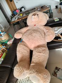 orso gigante peluche