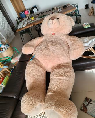 orso gigante peluche