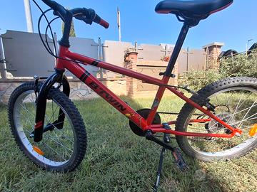 btb 20 bambino