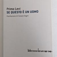Se questo è un uomo