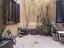 Immagine 9