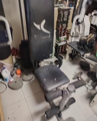 Attrezzi da palestra 