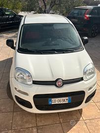 Panda Van Hybrid