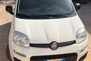 Panda Van Hybrid