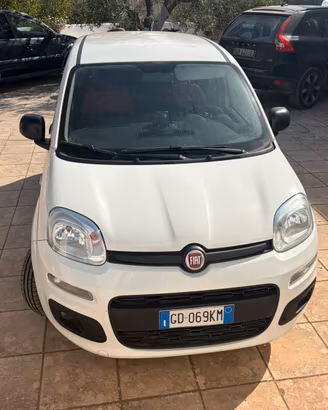 Panda Van Hybrid