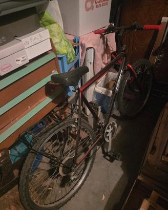mountain bike