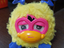 Immagine 1