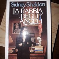 libro la rabbia degli angeli 