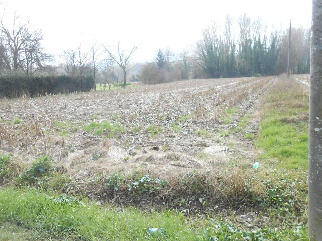 Terreno di 1800 m² a Lucca - Altro
