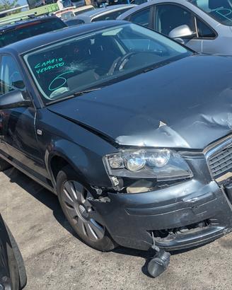 AUDI A3 2003-2010 1.6 Ben(-GPL) 5 Porte