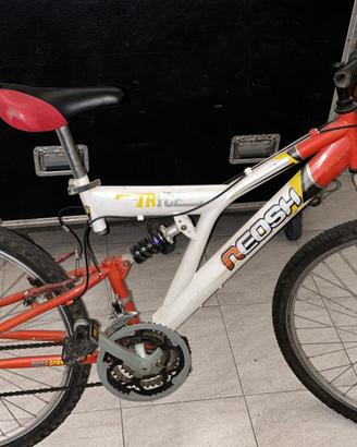Bicicletta Neosh
