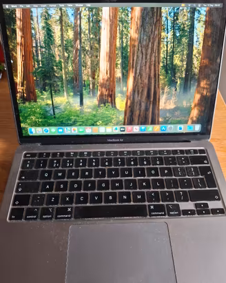 Macbook Air 16GB RAM, 1TB SSD (2020)