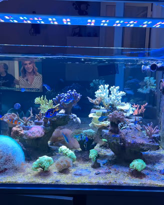 Acquario Marino