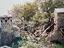 Immagine 25