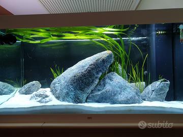 Acquario Juwel rio350