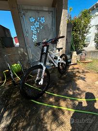 Bici downill gemini dh