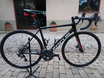 FOCUS IZALCO 54 M