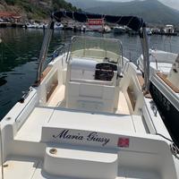 Barca a motore