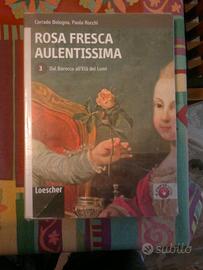 Rosa Fresca Aulentissima 3