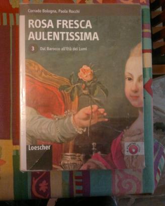 Rosa Fresca Aulentissima 3