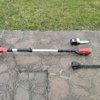 Potatore e tagliasiepi